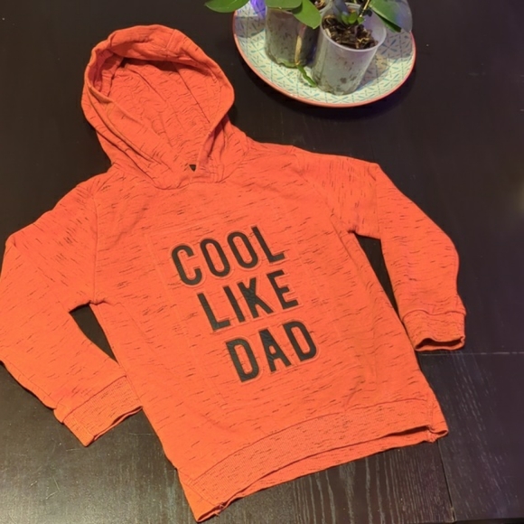 "Cool like Dad" Hoodie 4-5 years, fun jumper, burnt orange - Picture 3 of 12